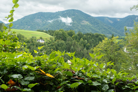 Scenic green mountain valley with forested hills and lone countryside house.の写真素材