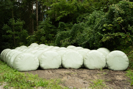 Wrapped silage bales in an alpine meadow, hay bales.の写真素材