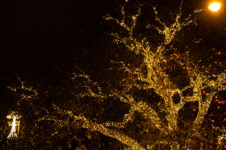 Tree branches wrapped in golden fairy lights at night. Festive holiday illumination in a city park.