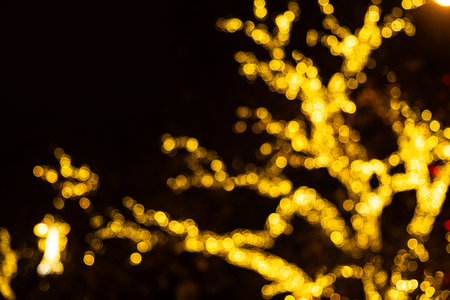 Tree branches wrapped in golden fairy lights at night. Festive holiday illumination in a city park.