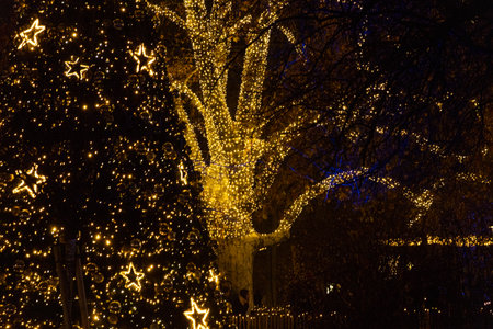 Magical Golden Christmas Illumination in a Park
