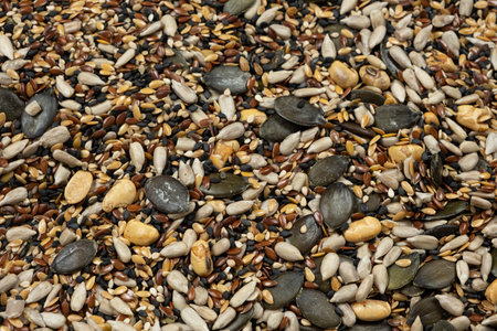 Diverse superfood seed mix with pumpkin sunflower and flax seeds.の写真素材