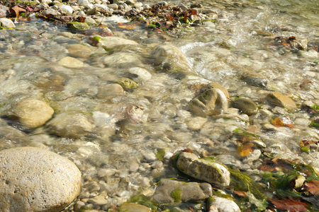 Natural Riverbed Texture with Smooth Pebbles.