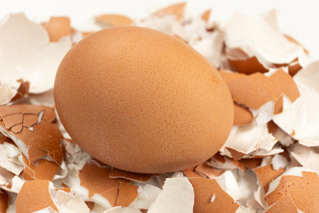 Close-up of a boiled unpeeled egg on an eggshell