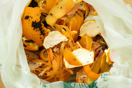 Organic Bio Waste in Garbage Bag for Compost and Recycling.の写真素材