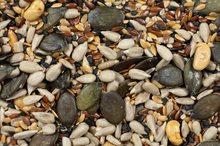 Nutritional seed mix texture with sunflower pumpkin and sesame seeds.の写真素材