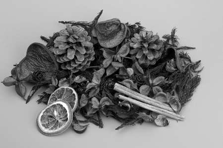 Mandarin,Cloves & Cinnamon against a plain background.の写真素材