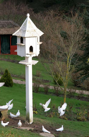 A dove box with flying doves in Devon, England.の写真素材