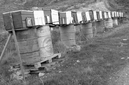 Pigeon boxes in Murcia, Spain.