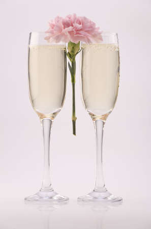 Two glass champagne flutes with a carnation against a plain background.の写真素材