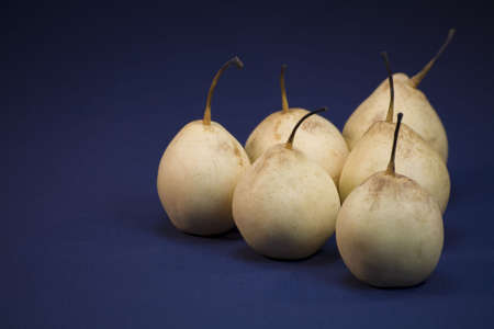 Six Asian pear fruit on a blue linen background.の写真素材