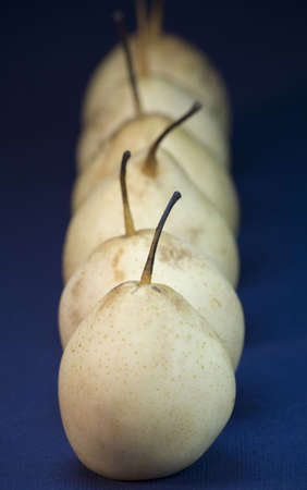 Six Asian pear fruit on a linen blue background.の写真素材