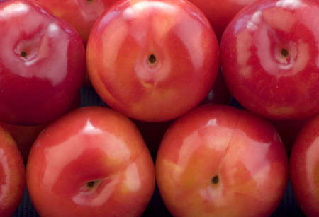 A close up of Multiple red plums の写真素材