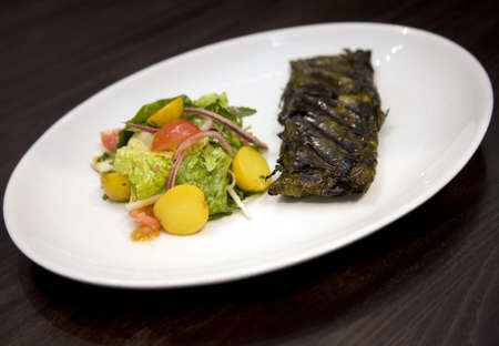 A dish of Stuffed vine leaves with salad の写真素材