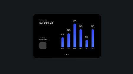 App Money Spending Statistics UI Interface. Vector illustration