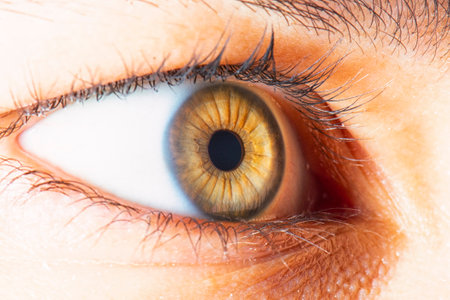 green eye detailed macro photographyの写真素材