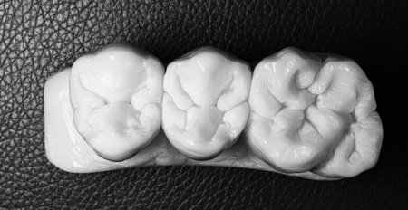 carved tooth on soap by dental assistantの写真素材