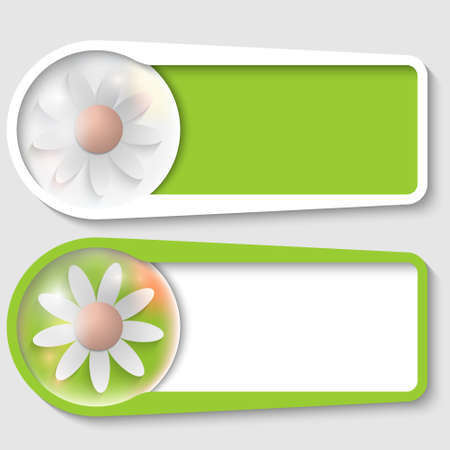 set of two boxes for any text with flowerのイラスト素材