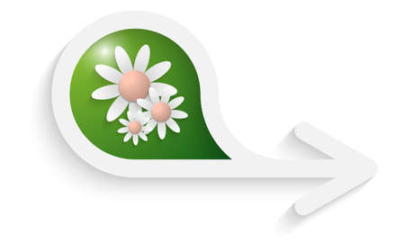 gray box for text with arrow and three flowersのイラスト素材