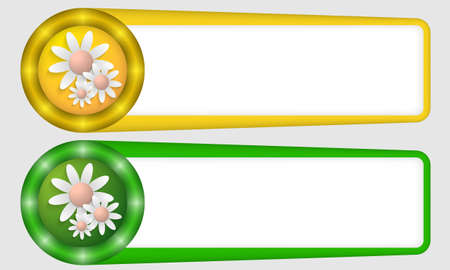 yellow and green frames for any text with flowersのイラスト素材