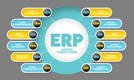 Vector info graphic with theme of erp systemのイラスト素材