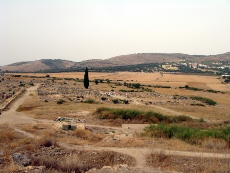 Hills Volubilisの写真素材