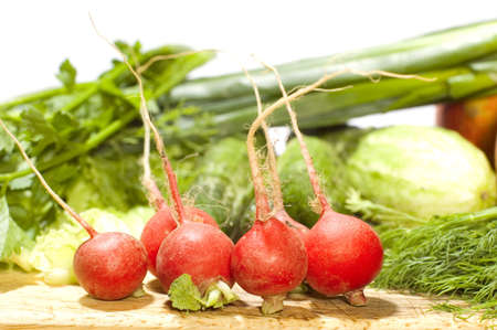 series object on white food - garden radish