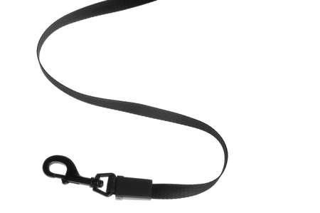 object on white tool dog leadの写真素材