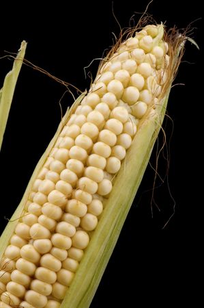 object on black - food corn in cob