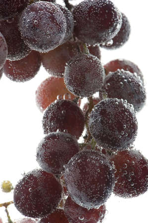 object on white - Red grapes in water close upの写真素材