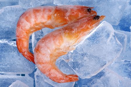 object on blue - Frozen shrimp close upの写真素材