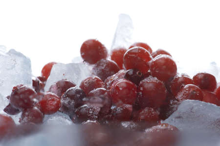 object on white - raw cranberry with iceの写真素材