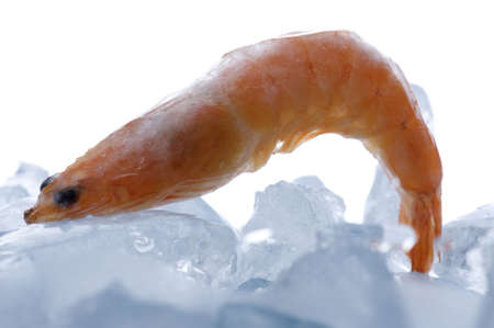 object on white - raw food shrimp with iceの写真素材