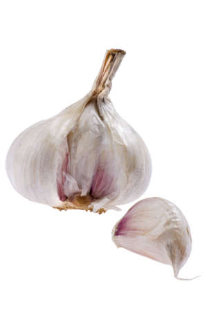 object on white - food White garlic close up