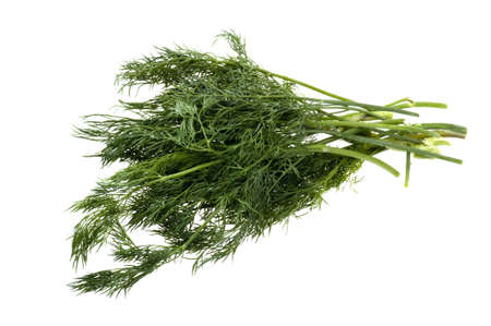 object on white - food dill close upの写真素材