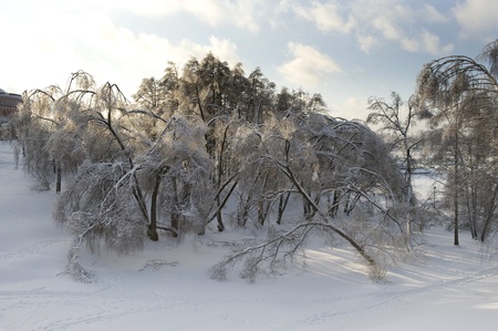Russia - Moscow winter snow park Tsaritsynoの写真素材
