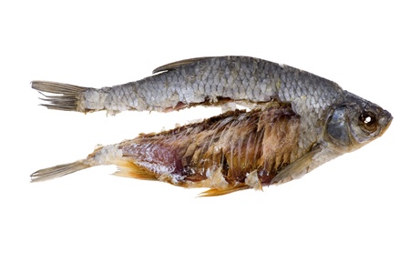 object on white - food dry fish close up