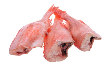 object on white - food red grouper