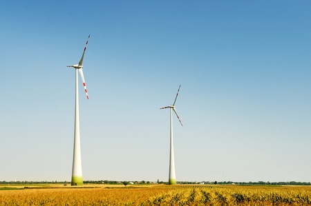 location of wind turbines in an open fieldの写真素材