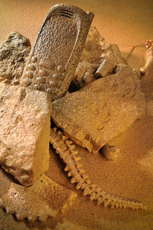 cell phone at the site of the excavation among the stones, fossils  in the sandの写真素材