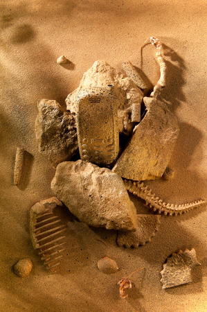 cell phone at the site of the excavation among the stones, fossils  in the sand