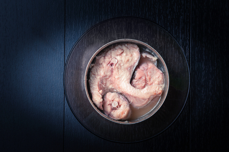 salmon in a tin on dark blue backgroundの写真素材