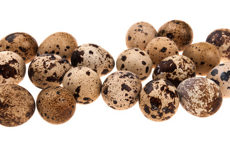 quail eggs isolated on white backgroundの写真素材