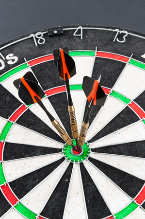 classic dartboard color target with wire separated cells