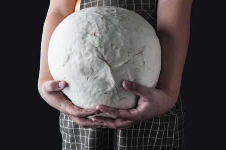 Giant white puffball mushroom on the hand farmerの写真素材