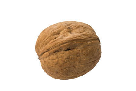Walnut isolate on white backgroundの写真素材