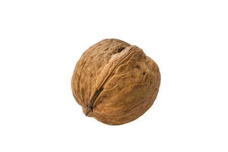 Walnut isolate on white backgroundの写真素材