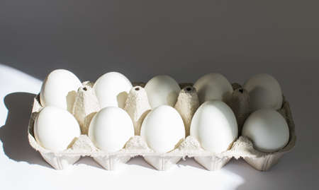 Eggs in a trayの写真素材