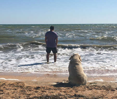 A man and a dog on the seashore look at the wavesの写真素材