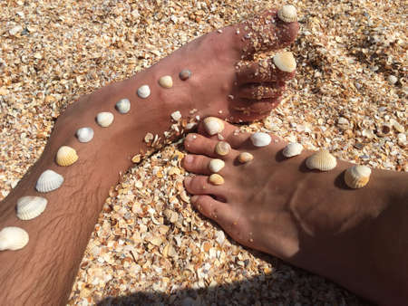 Seashells on male and female legs on the beach in summerの写真素材
